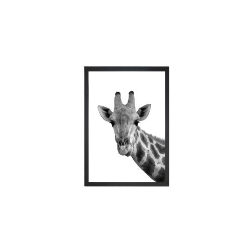 Kép 24x29 cm Giraffe – Vavien Artwork