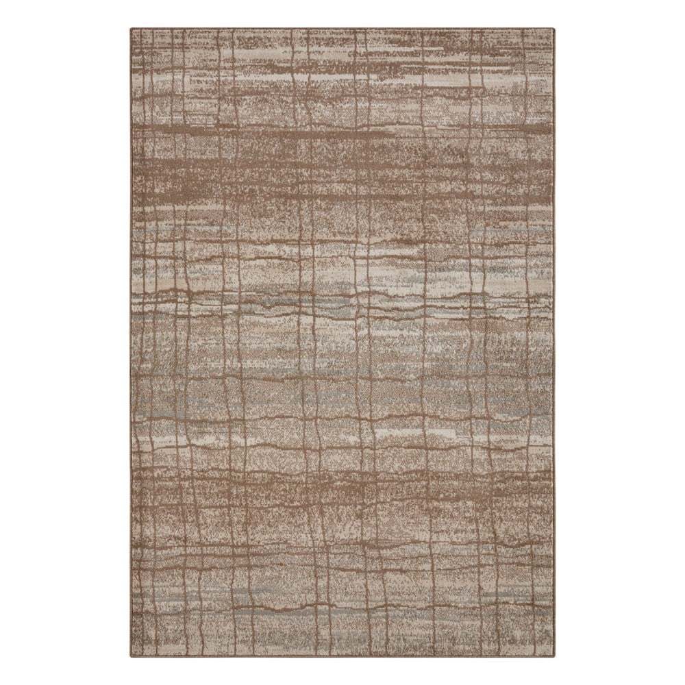 Barna-bézs szőnyeg 240x340 cm Terrain – Hanse Home