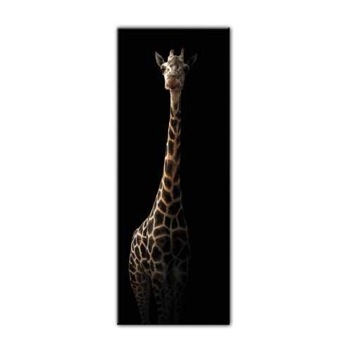 Glas Animals Gira kép