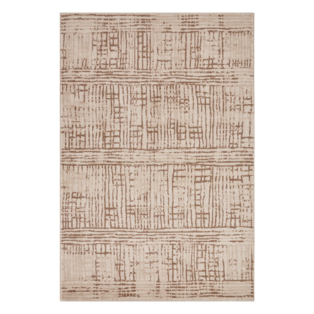 Barna-bézs szőnyeg 80x120 cm Terrain – Hanse Home