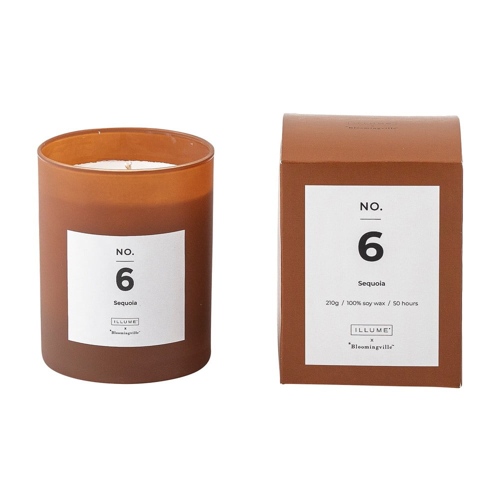 Illatos gyertya égési idő 50 ó No. 6 Sequoia – ILLUME x Bloomingville