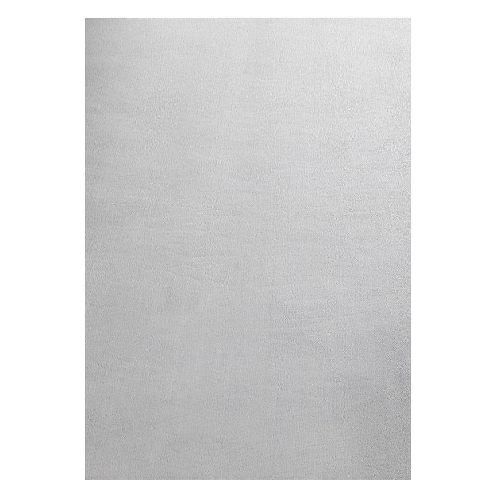 Világosszürke mosható szőnyeg 240x340 cm Sky – Ayyildiz Carpets