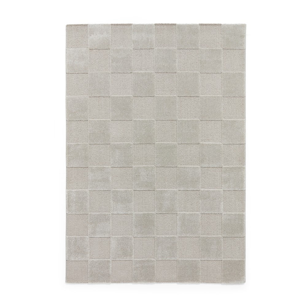 Világosszürke szőnyeg 160x230 cm Elio Silver – Think Rugs