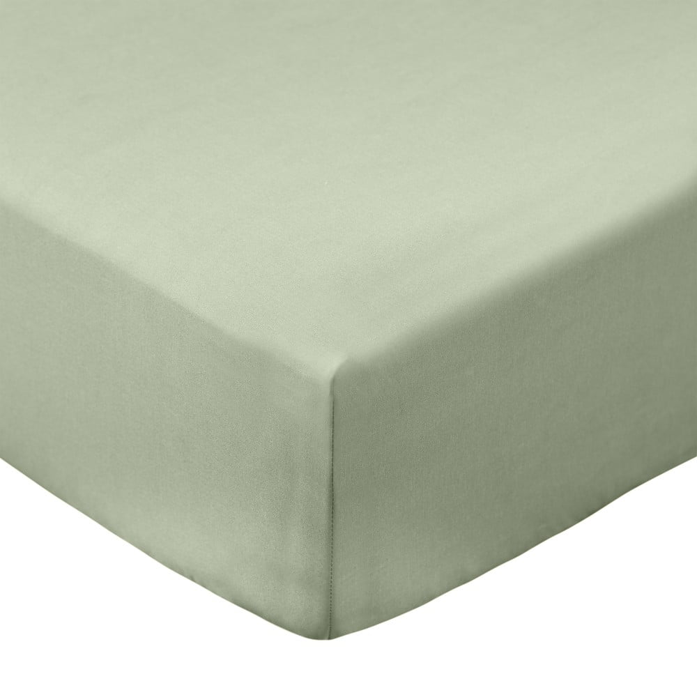 Zöld gumis pamut-perkál lepedő 150x200 cm Cotton Percale – Bianca