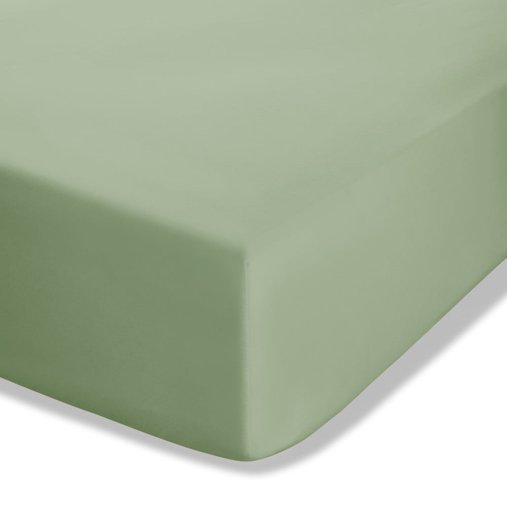 Zöld gumis perkál lepedő 150x200 cm Easy Iron Percale – Catherine Lansfield