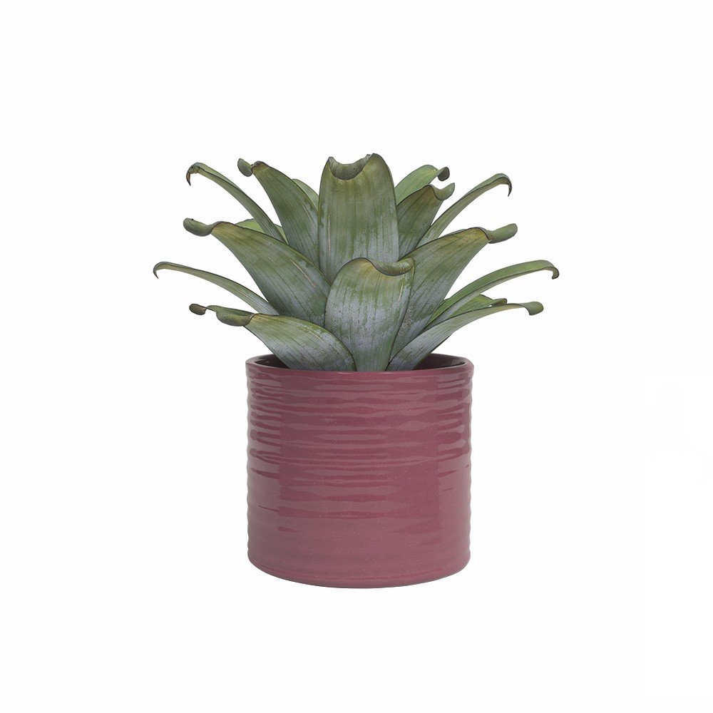 Kerámia kézzel készített kaspó ø 25 cm Fortuna – Artevasi