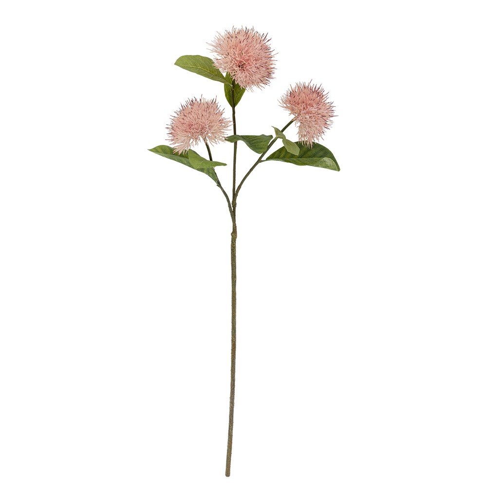 Művirág (magasság 100 cm) Chrysantemum – Bloomingville