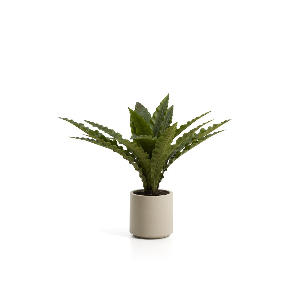 Suculent műnövény (magasság 70 cm) Neottopteris – Kave Home